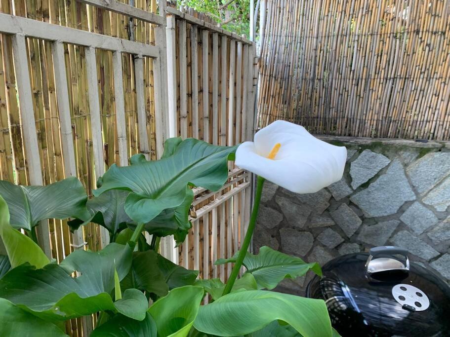 Dimaru Lägenhet Gragnano Exteriör bild